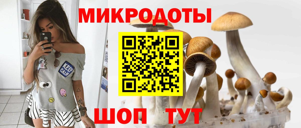 Галлюциногенные грибы ЛСД  Псилоцибиновые грибы Magic Shrooms  где найти наркотики  Севастополь  Вход с VPN 